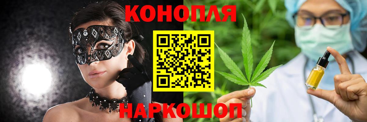 Псилоцибиновые грибы Торжок